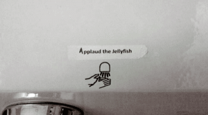 Applaudthejellyfish